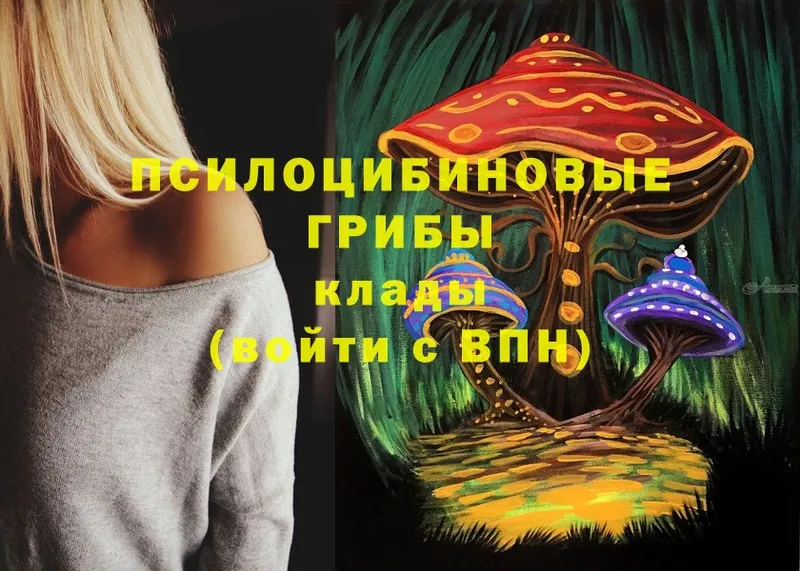 купить  цена  МЕГА ТОР  Галлюциногенные грибы Psilocybine cubensis  Владикавказ 